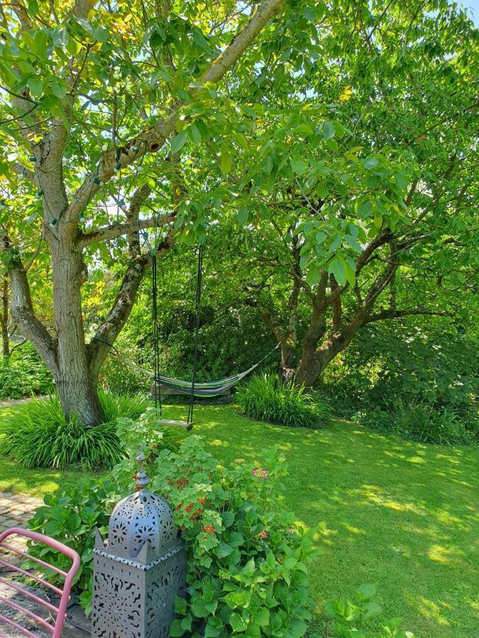 Maison En Pierre Dans Son Nid De Verdure Roz-Landrieux Dış mekan fotoğraf
