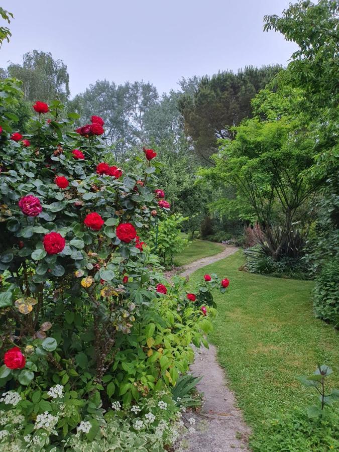Maison En Pierre Dans Son Nid De Verdure Roz-Landrieux Dış mekan fotoğraf