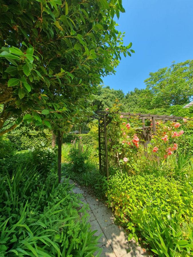 Maison En Pierre Dans Son Nid De Verdure Roz-Landrieux Dış mekan fotoğraf
