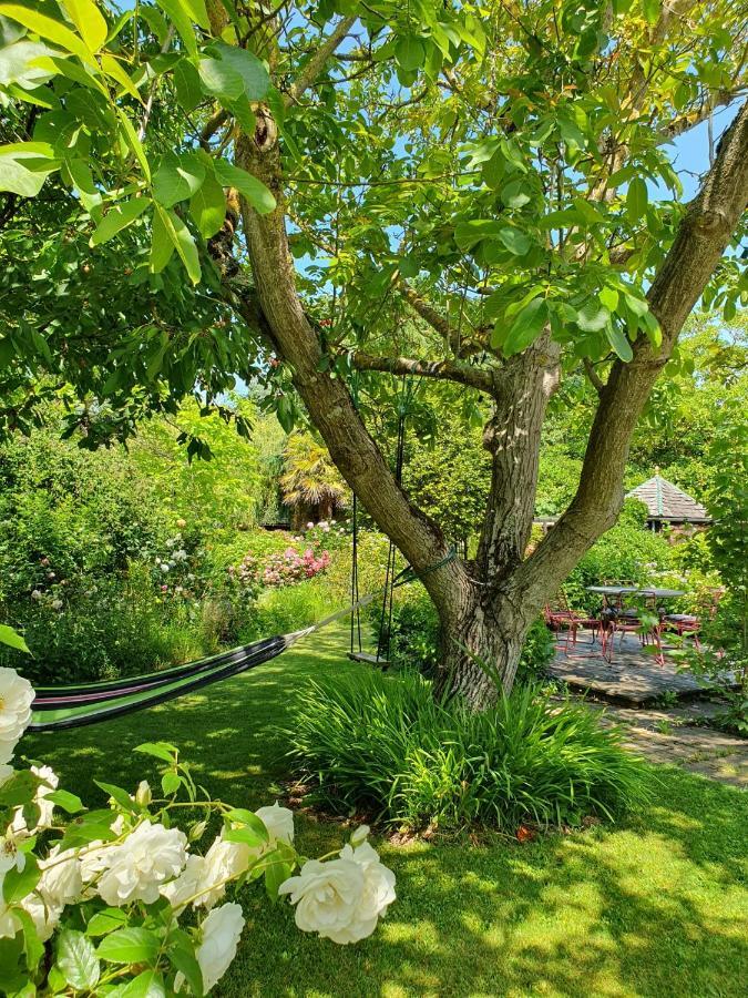 Maison En Pierre Dans Son Nid De Verdure Roz-Landrieux Dış mekan fotoğraf